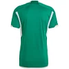 2022 Algeria National Team Away Shirt