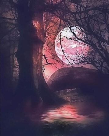 

Red Moon Tree – Paint By Numbers - 40*50CM, 501 Original