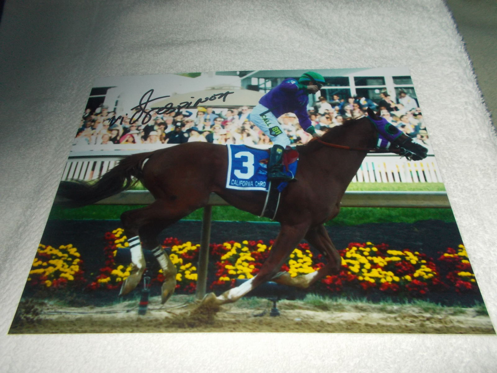 VICTOR ESPINOZA CALIFORNIA CHROME SIGNED 2014 PREAKNESS 8x10 Photo Poster painting CHAMPION