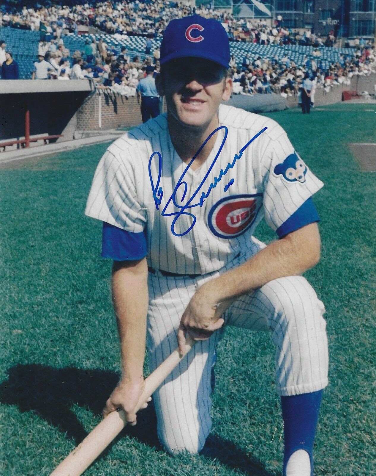 Signed 8x10 ROE SKIDMORE Chicago Cubs Autographed Photo Poster painting - COA