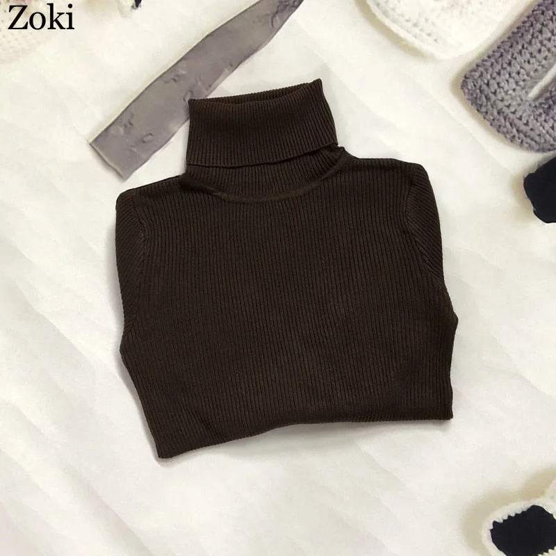 Zoki Soft Women Turtleneck Sweater Autumn Long Sleeve Elastic Female Knitted Jumper Casual Pullover Slim Winter Basic Tops 2021