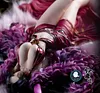 Decorative Frame of Boa Hancock - ONE PIECE Resin Statue - iLL ILLEGAL FACTORY Studios  [In Stock]