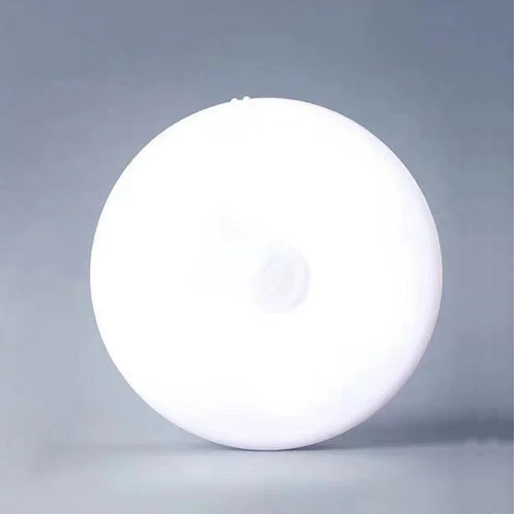 Intelligent Human Induction LED Night Light