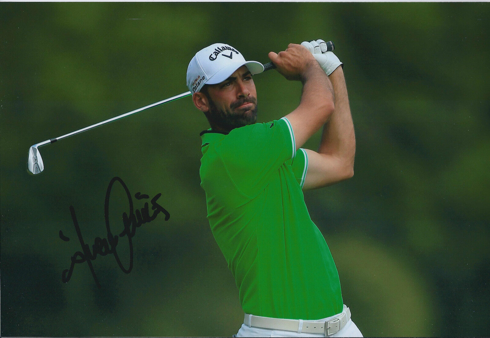 Alvaro QUIROS SIGNED Autograph 12x8 Photo Poster painting AFTAL COA St Andrews SCOTLAND Golf