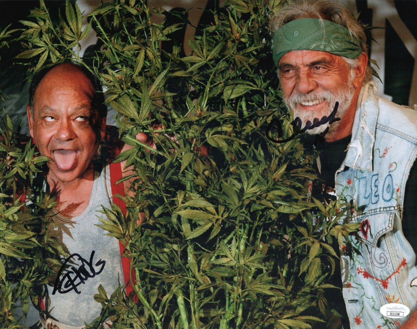 CHEECH AND CHONG Hand Signed 11x14 Photo Poster painting IN PERSON Autograph JSA COA Cert