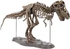 3D T-Rex Dinosaur Skeleton Model Puzzles Simulation Educational Toy Pre-School Teaching Soft Non-Toxic PVC Material Gifts