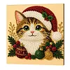 Christmas Animal DIY Pearl Painting Kit with Frame 20x20cm