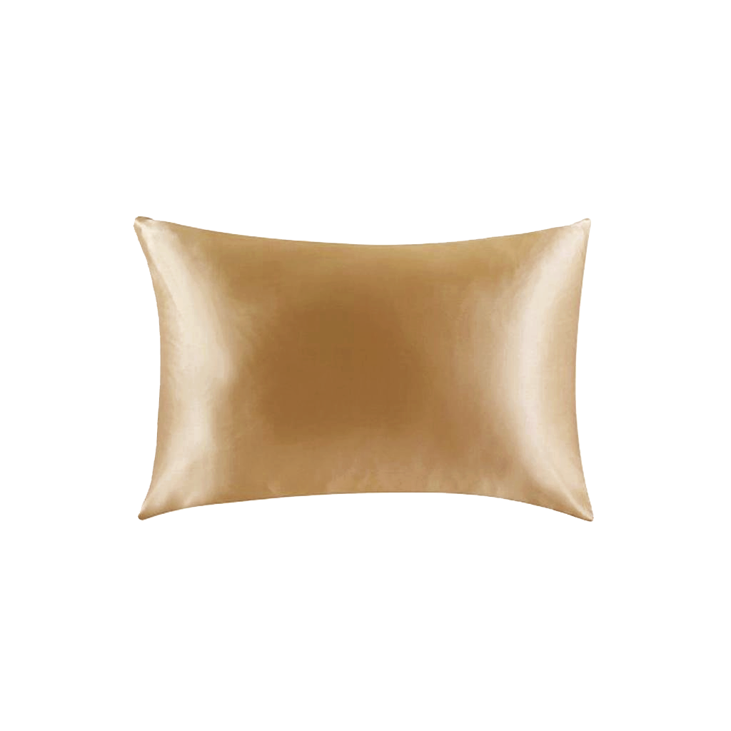 25 Momme Both Sides In Mulberry Silk Pillowcase REAL SILK LIFE