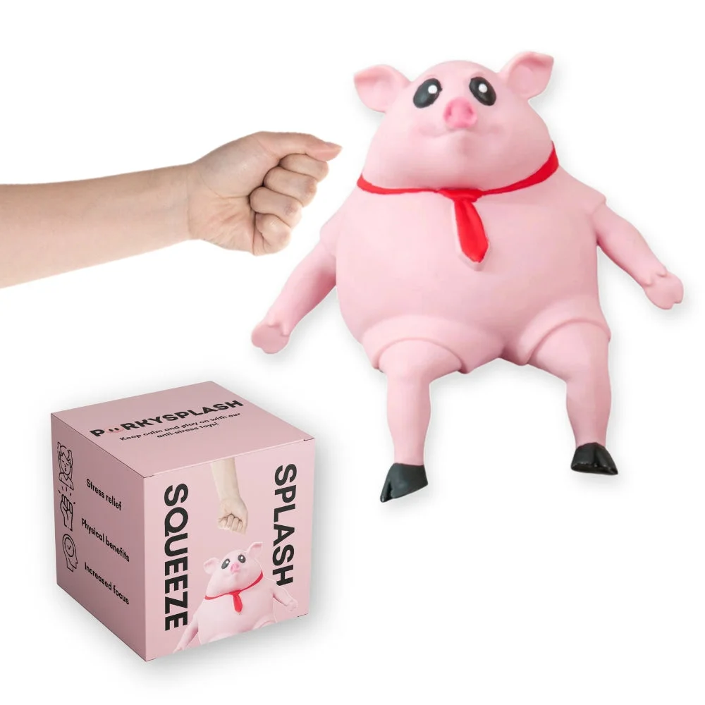 Splash Piggy Toy