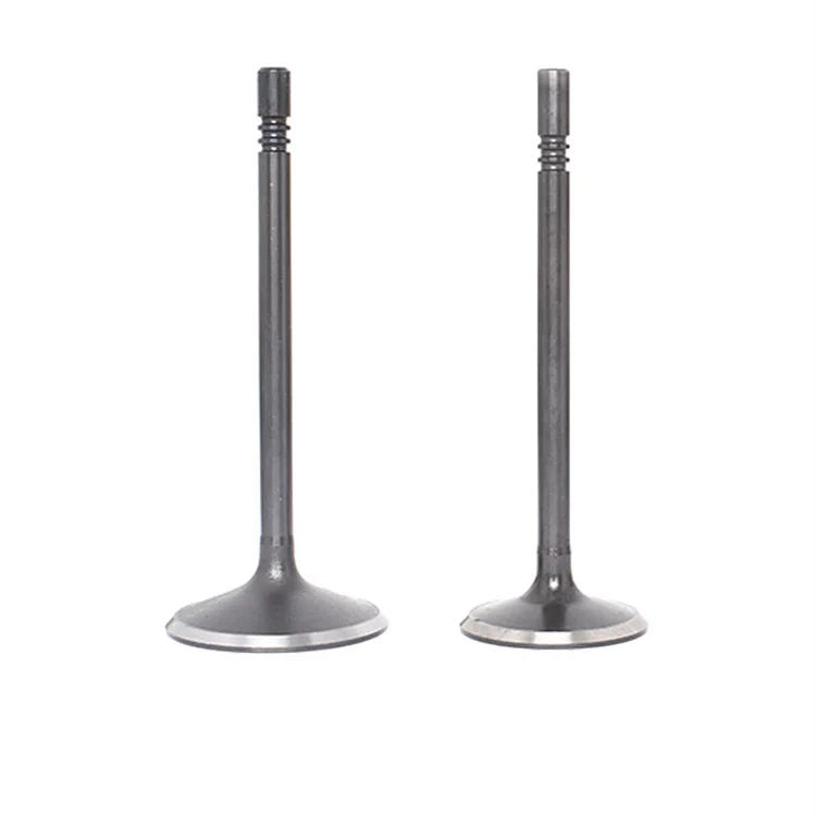 Silscvtt Intake Air-out Valves Kit Replacement for 1997-2010 Ford Explorer Mazda B4000