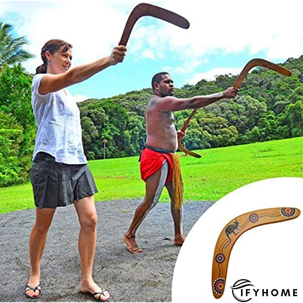 V Shaped Boomerang Throwback Flying Disc | IFYHOME