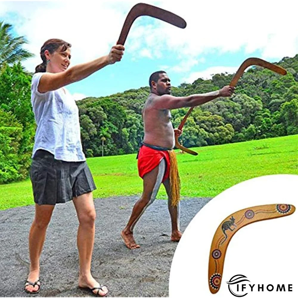 V Shaped Boomerang Throwback Flying Disc | IFYHOME