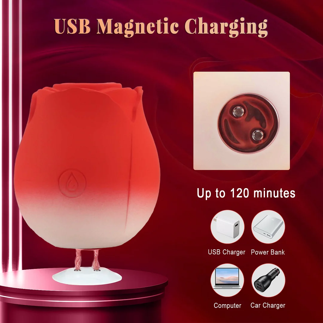 2025 Pandora Rose Sucker In 4 Gradient Colors