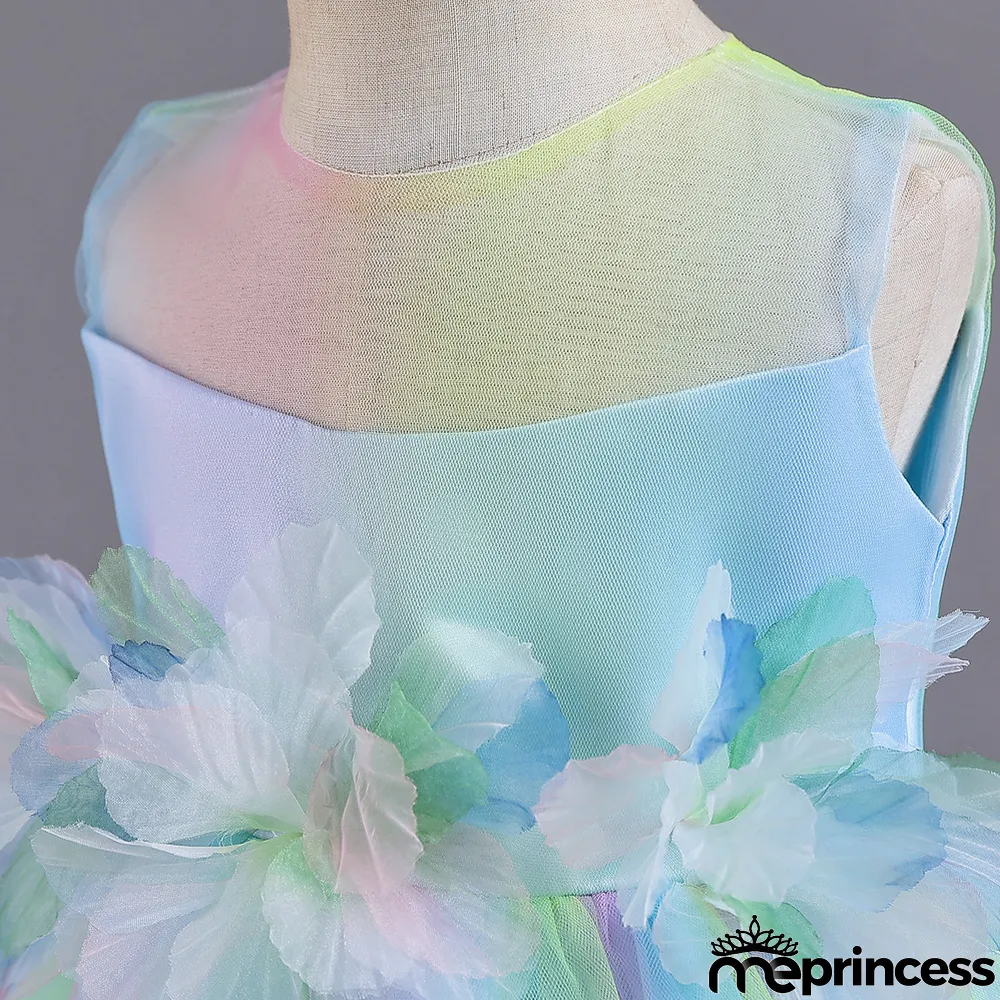 Infant and Toddler Dresses Floral Dress Multi-Color Mesh Pouf Princess Dress