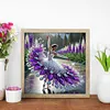 Dancing on ice girl - peinture au diamant de forme sp&eacute;ciale - 30*30cm