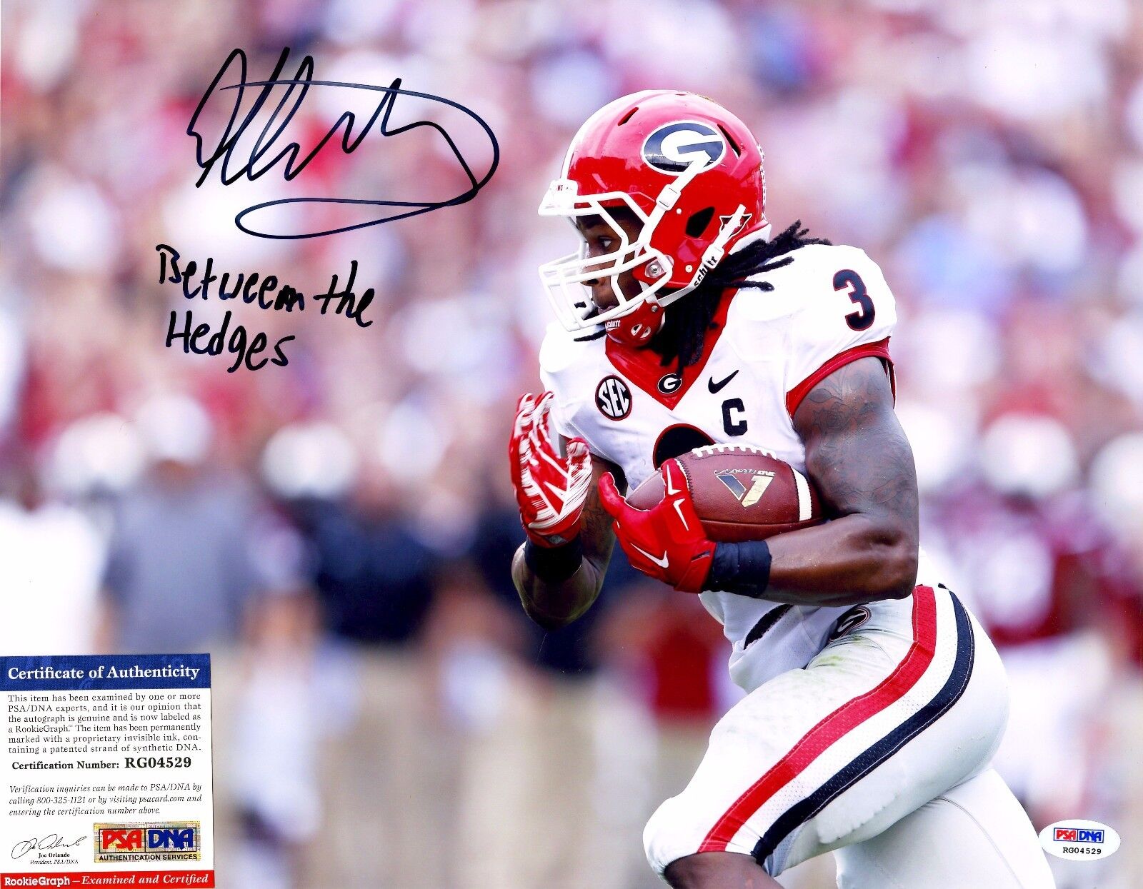 Todd Gurley Signed 11x14 Photo Poster painting Rookie RC PSA BETWEEN THE HEDGES 1/1 Auto SP Rams