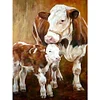 >SALE<5D DIY Full Square Drill Partial AB Drill Diamond Painting Two Cows Kit 35x45cm
