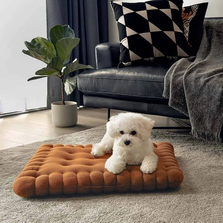 Soft Biscuit Dog Bed Cookie Shaped Pet Floor Mat Pillow