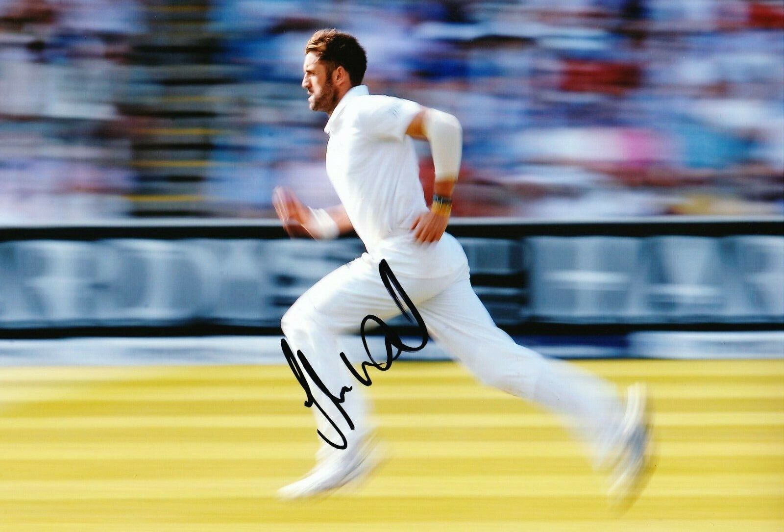 Liam Plunkett Signed 12X8 Photo Poster painting 2019 England CRICKET AFTAL COA (2662)