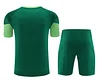 2024/2025 Palmeiras pre-match training Green Shirt+Shorts 1:1 Thai Quality