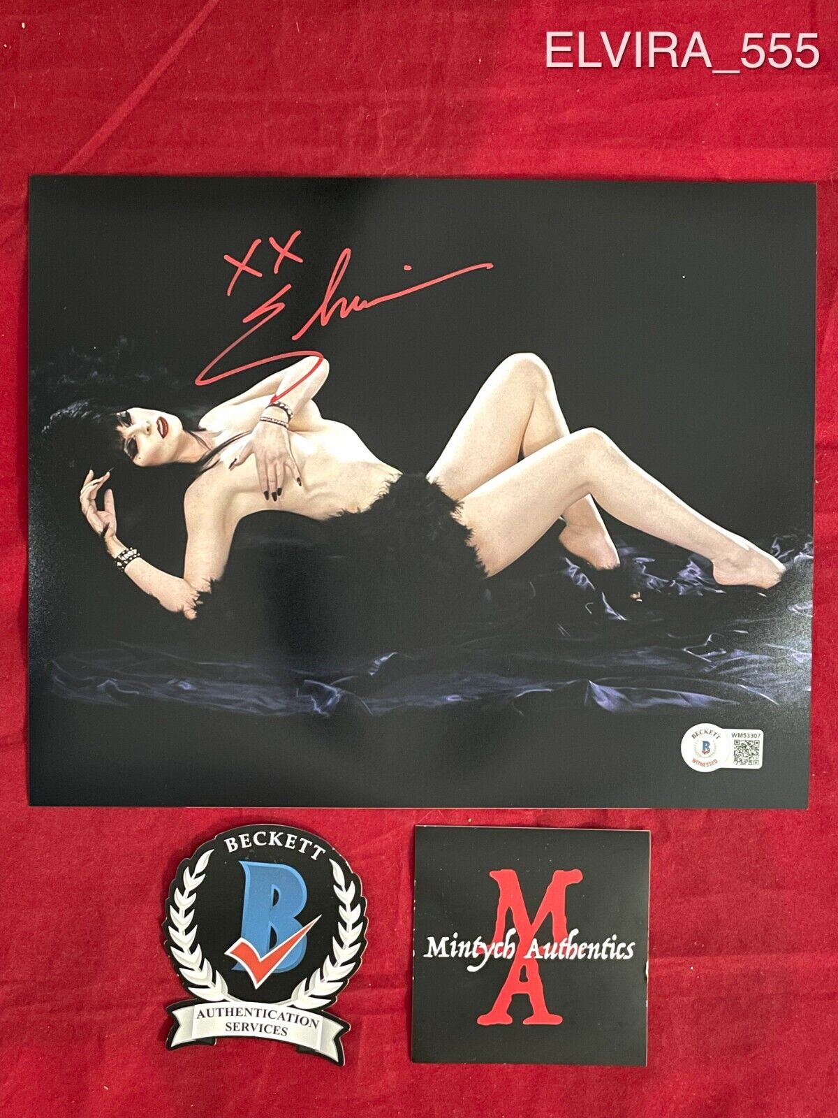 ELVIRA CASSANDRA PETERSON AUTOGRAPHED SIGNED 8x10 Photo Poster painting! BECKETT COA! HORROR!