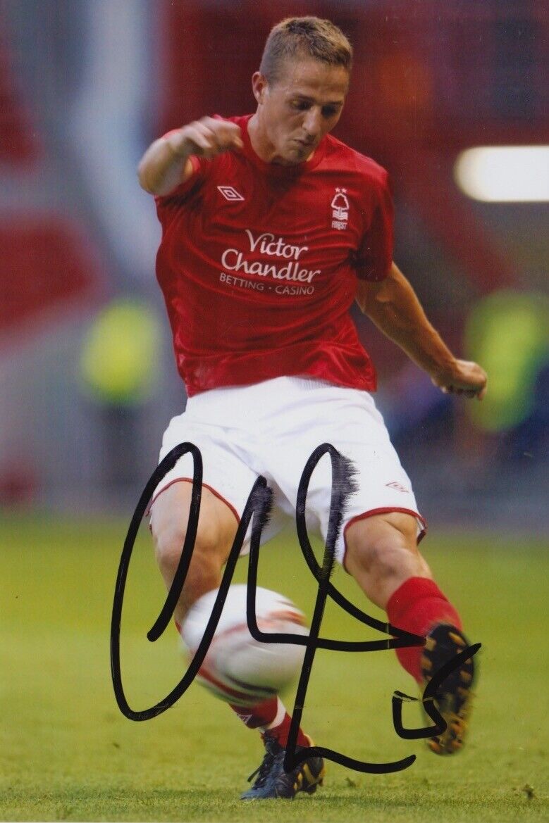 CHRIS COHEN HAND SIGNED 6X4 Photo Poster painting - FOOTBALL AUTOGRAPH - NOTTINGHAM FOREST 3.