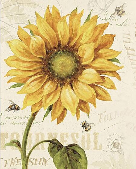 

Sunflower and Bee – Paint By Numbers - 40*50CM, 501 Original