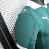 Joyfball 2025/2026 Player Version Plymouth Argyle Home Football Jersey（The player version jersey is a bit tight, please pay attention to the size selection）