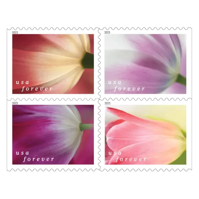 U.S. issuing Chrysanthemum global forever stamp April 24