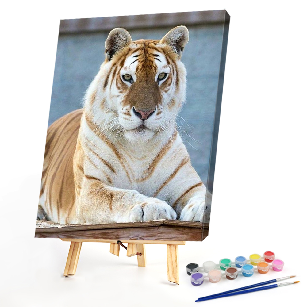 

40*50CM - Paint By Numbers - Tiger, 501 Original
