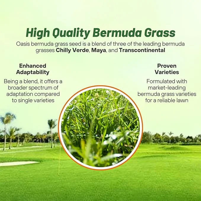 Oasis Bermuda Grass Seed