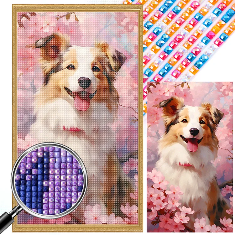 5D DIY Dog Diamond Painting Kits Border Collie Puppy Full Round Diamond  Embroidery Animals Pets Mosaic Painting Home Decor - AliExpress