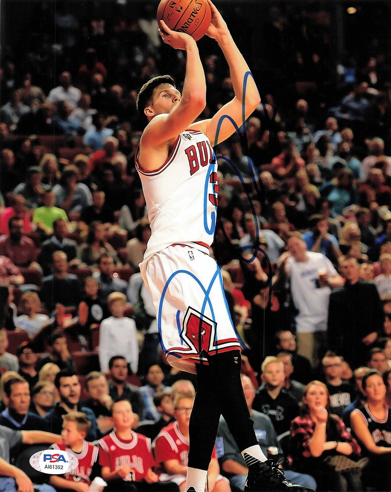 Doug McDermott Signed 8x10 Photo Poster painting PSA/DNA Chicago Bulls Autographed