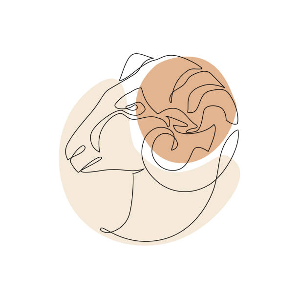 Best Crytals for Aries: Regulate Your Emotions and Mindset