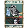 Raccoon Folding Clothes - Metal Tin Signs(12*16Inch)