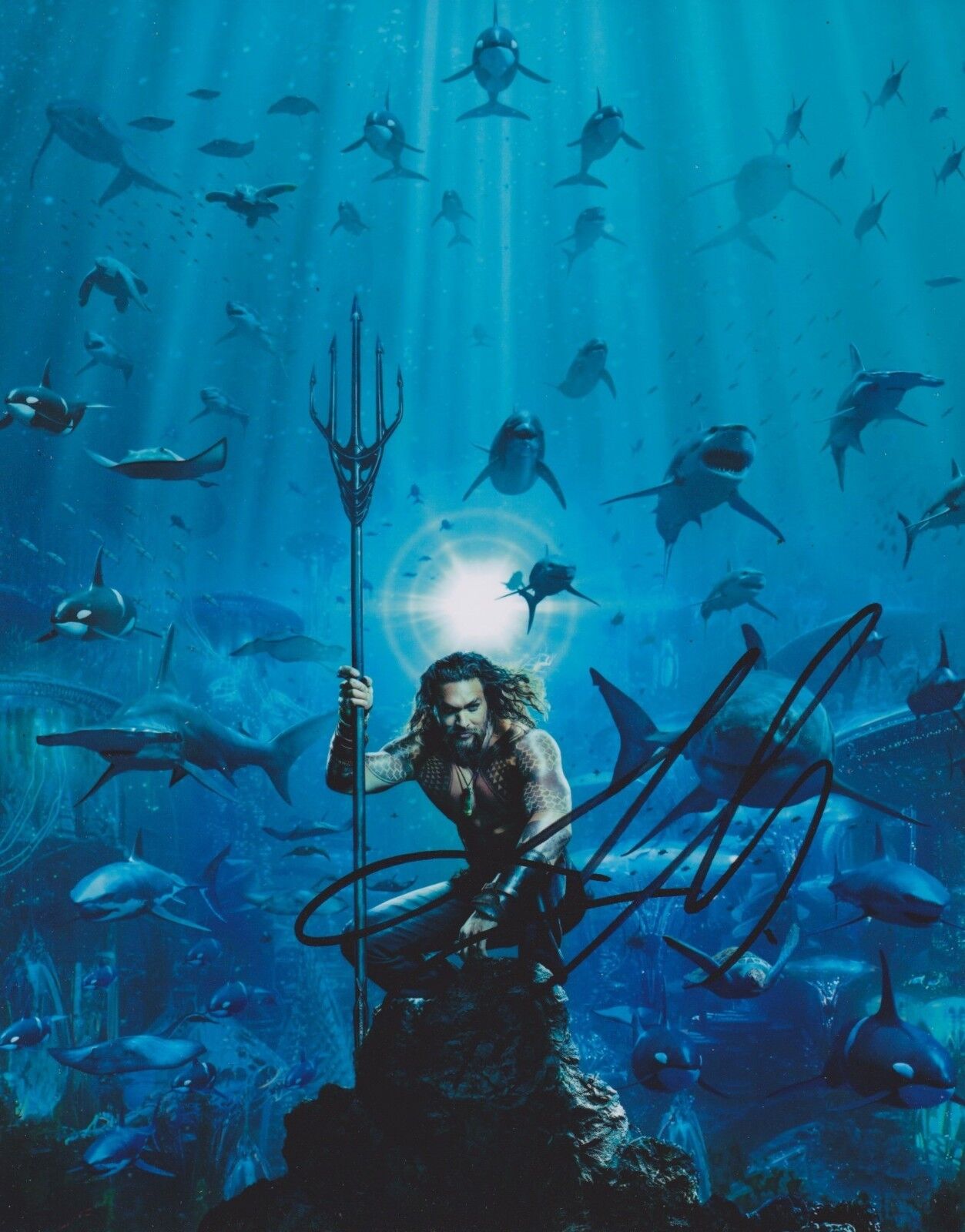 Jason Momoa Signed Aquaman 10x8 Photo Poster painting AFTAL ACOA