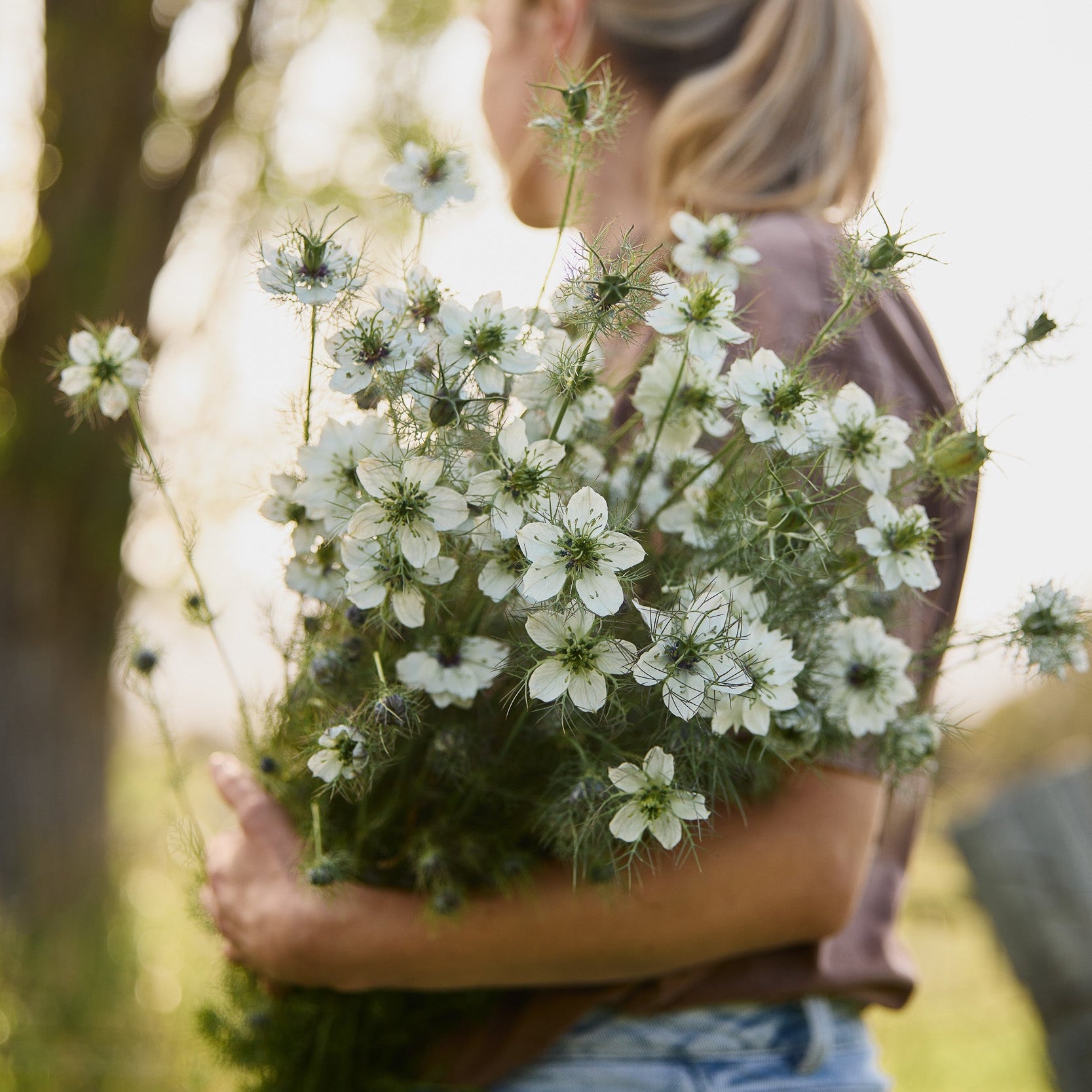 Nigella Miss Jekyll White Flower | X 100 Seeds