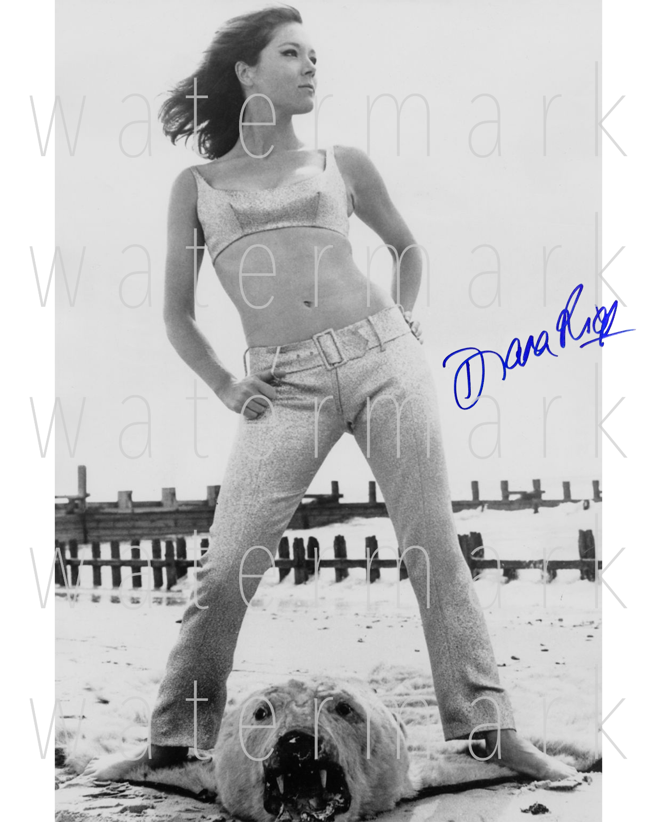 Diana Rigg The Avengers signed 8X10 inch print Photo Poster painting picture poster autograph RP