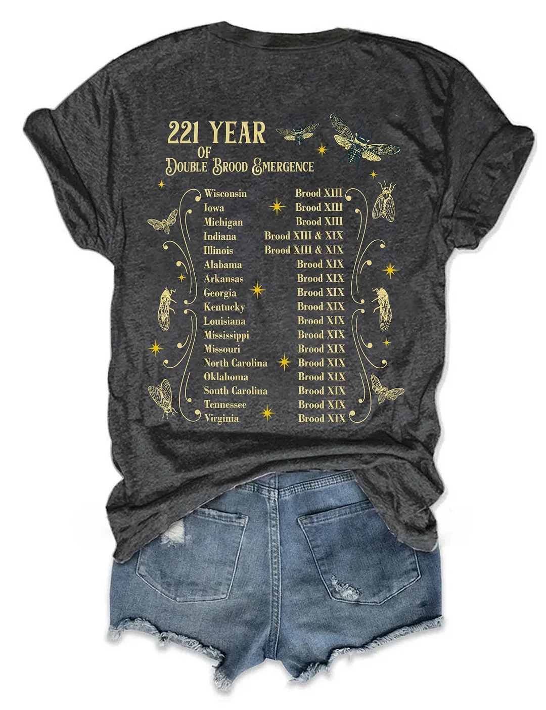 The Cicadas Reunion Tour Summer 2024 T-shirt
