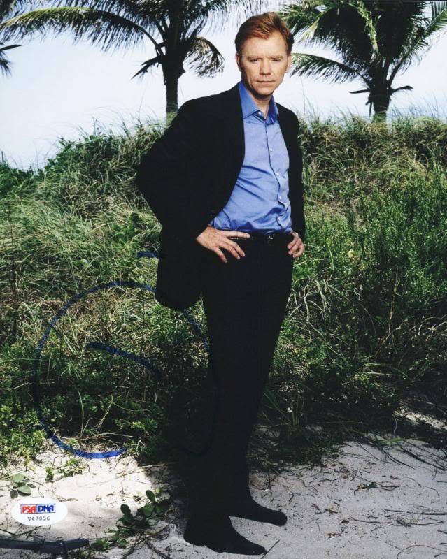 David Caruso Csi Miami Signed Authentic 8X10 Photo Poster painting Autographed PSA/DNA #V47056