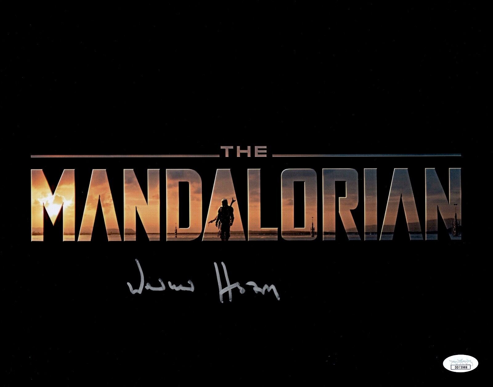 Werner Herzog STAR WARS THE MANDALORIAN Signed 11x14 Photo Poster painting PROOF JSA COA RARE