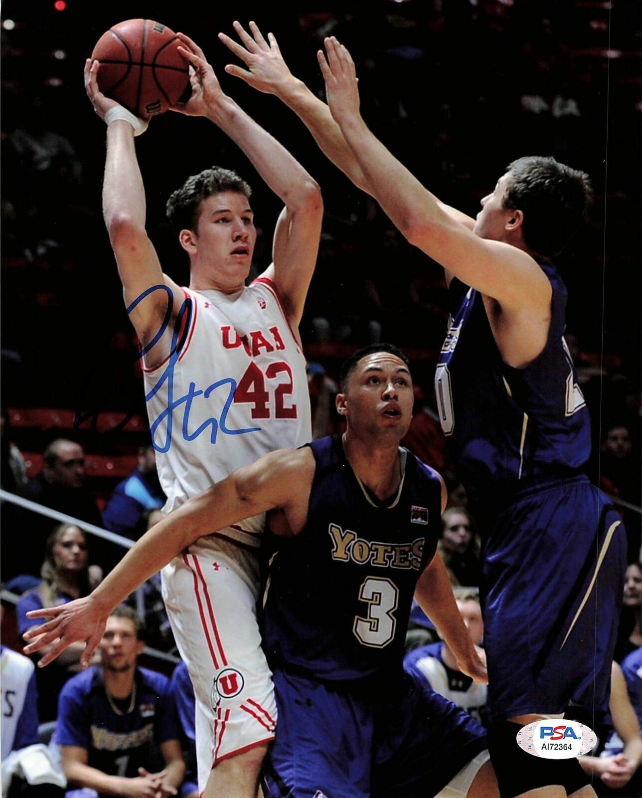 Jakob Poeltl signed 8x10 Photo Poster painting PSA/DNA Utah Utes Autographed