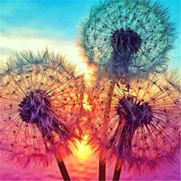 Diamond Painting - Full Round/Square Drill - Dandelion(30*40 - 50*60cm)