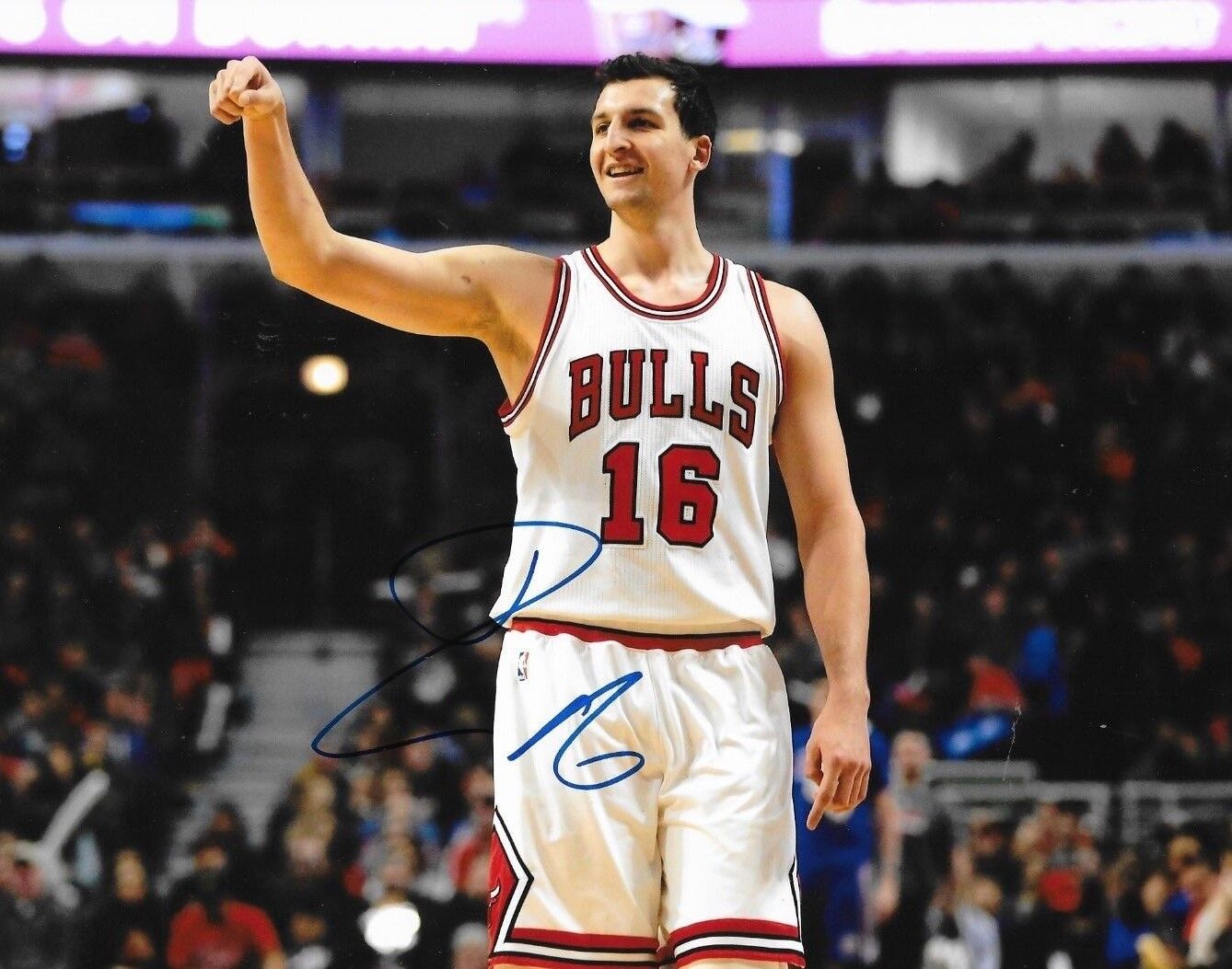 Paul Zipser signed Chicago Bulls 8x10 Photo Poster painting autographed 3