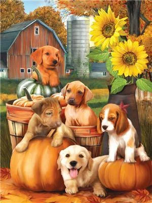 Cat & Dog Paint By Numbers Kits UK For Kids Y5547