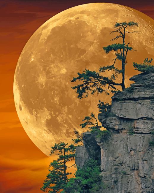 

Moon Light – Paint By Numbers - 40*50CM, 501 Original