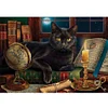 Black Cat - 14CT Counted Cross Stitch 55*40cm/21.65*15.75in