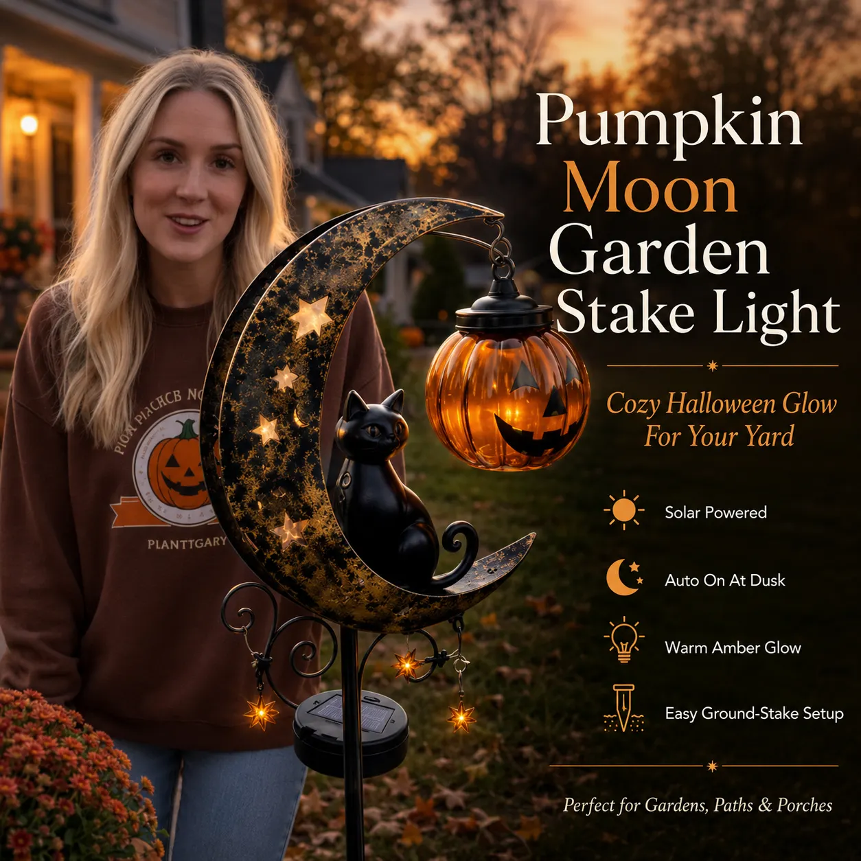 🎃 Pumpkin Collection