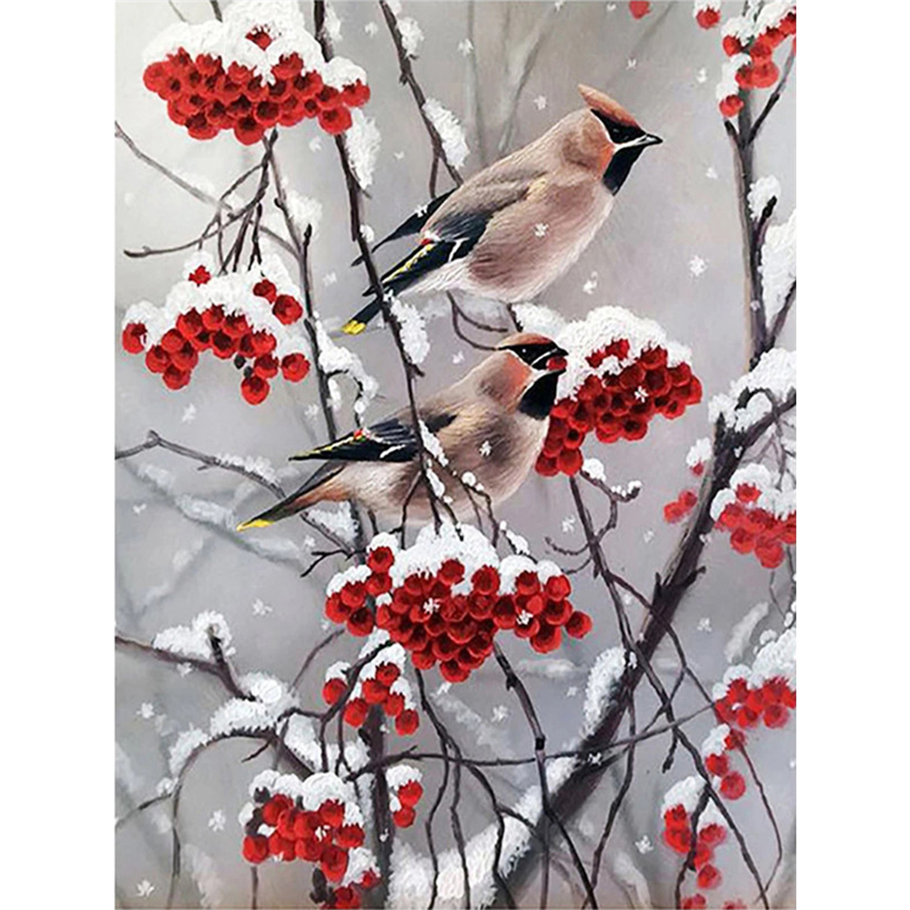 

Snowy Bird - Round Drill Diamond Painting - 30*40CM, 501 Original