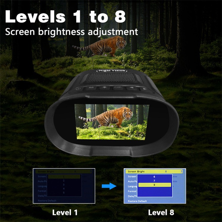 DT29 DISPLAY.jpg